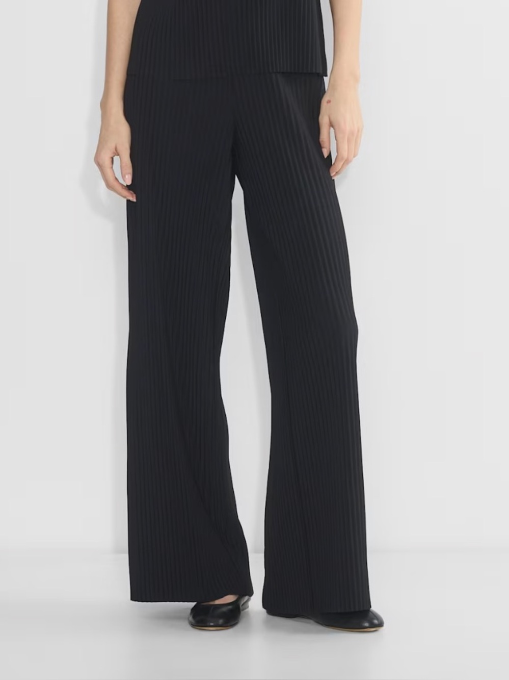 Aritzia  babaton Pleated Wide-Leg Pants